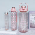 Large-capacity water bottle